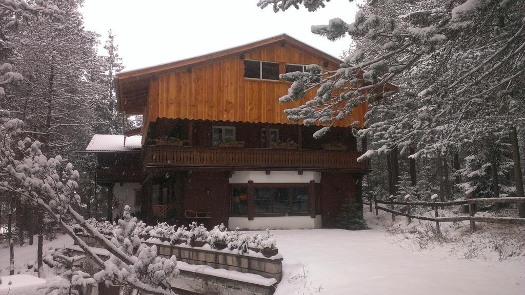 B&B Villa Dolomites Hut San Vigilio Di Marebbe Eksteriør bilde